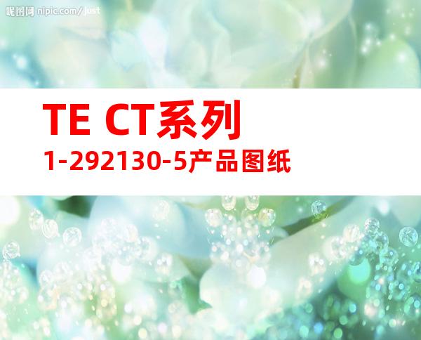 TE CT系列 1-292130-5产品图纸